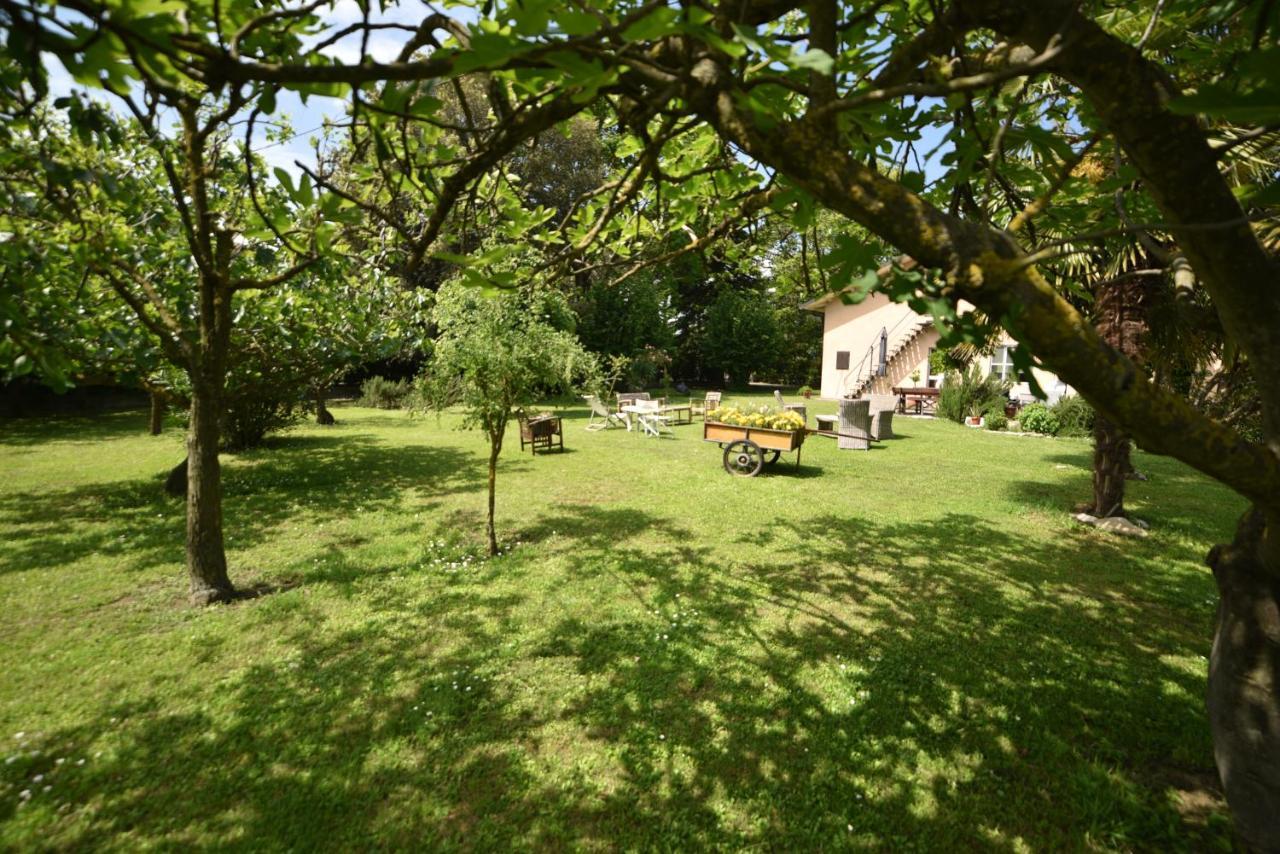 Bed and Breakfast Capannone111 Castiglione di Ravenna Zewnętrze zdjęcie
