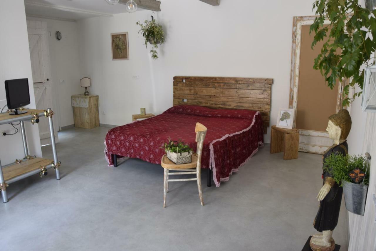 Bed and Breakfast Capannone111 Castiglione di Ravenna Zewnętrze zdjęcie