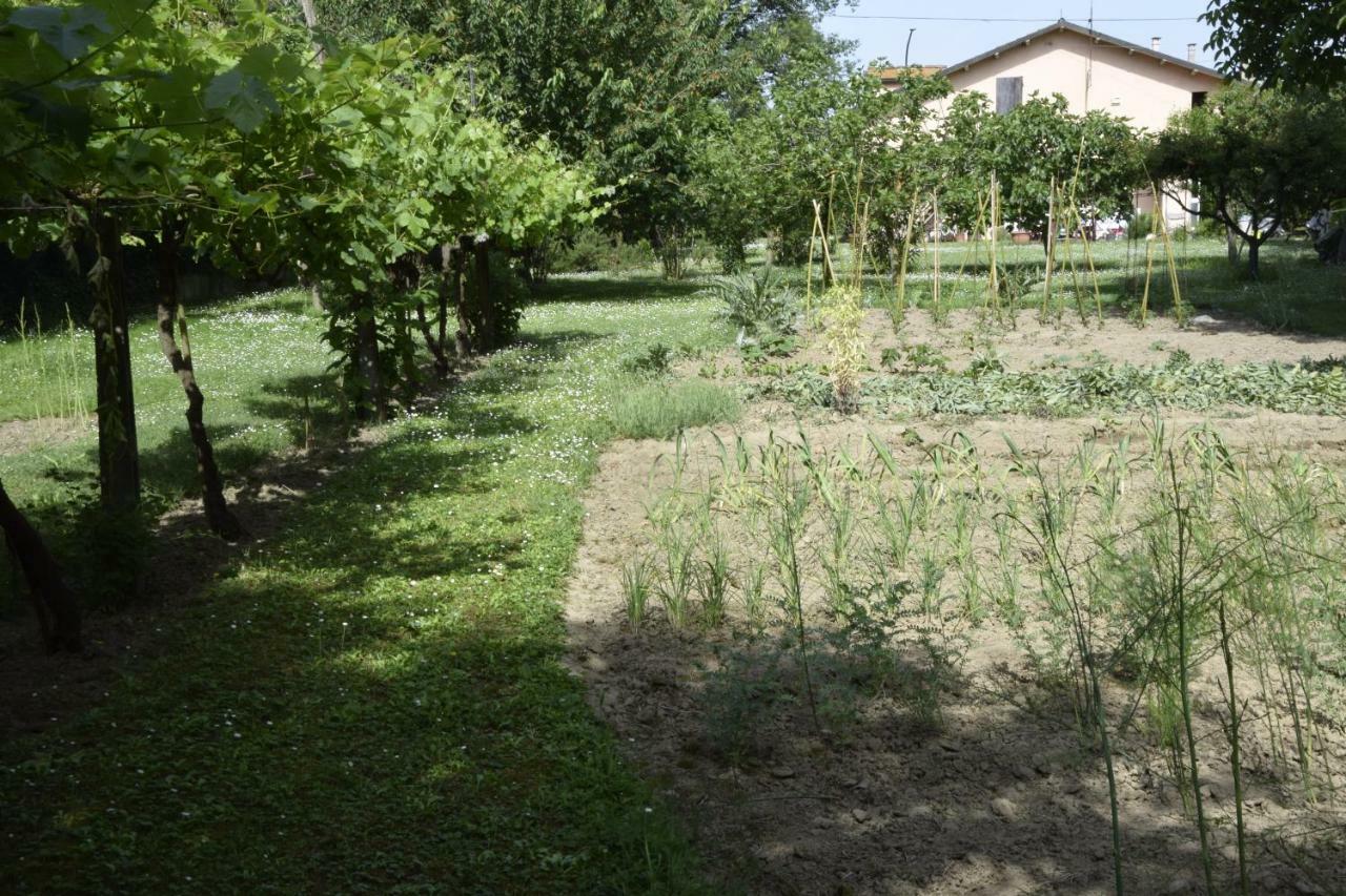 Bed and Breakfast Capannone111 Castiglione di Ravenna Zewnętrze zdjęcie